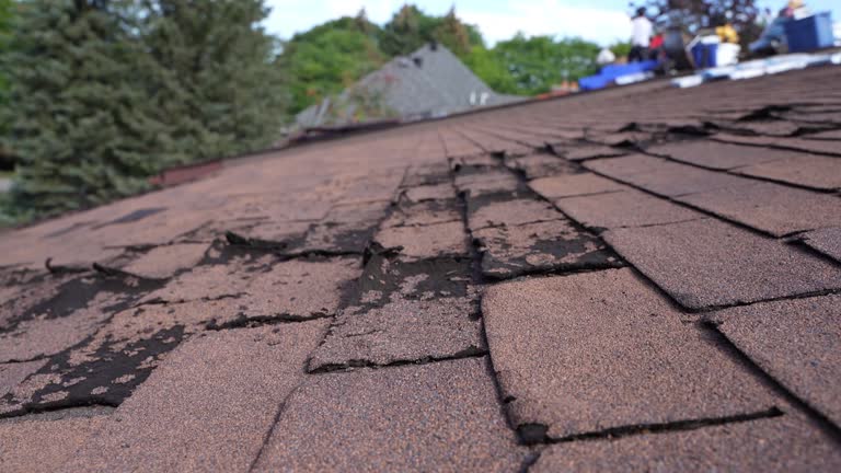 Best Roof Ventilation Installation  in Willoughby, OH