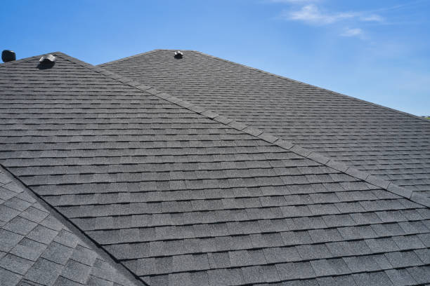 Best Roof Moss and Algae Removal  in Willoughby, OH
